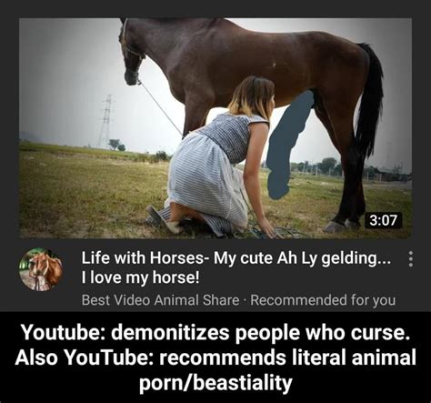 horse beastiality|Horse porn. Free bestiality porn videos with a huge kind of。